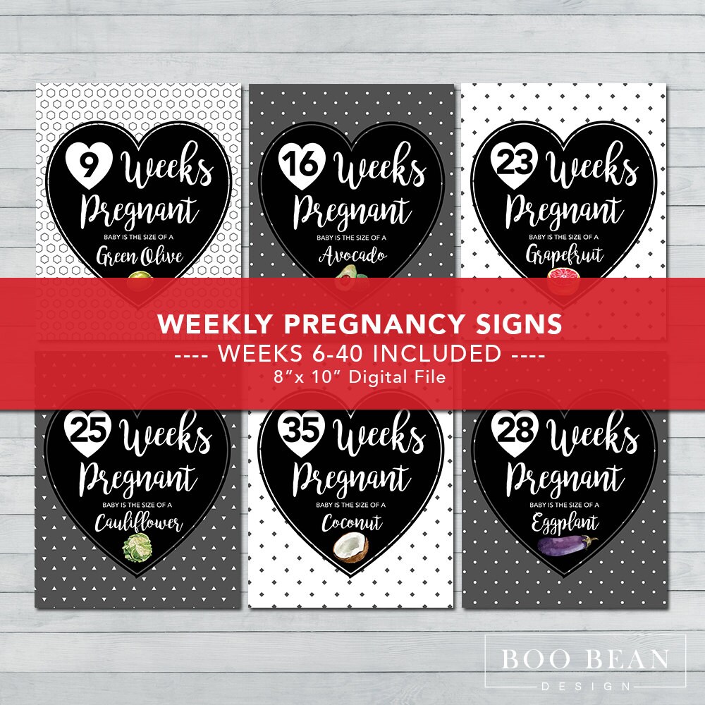 Pregnancy Week by Week Instant Download Printable Card - Etsy