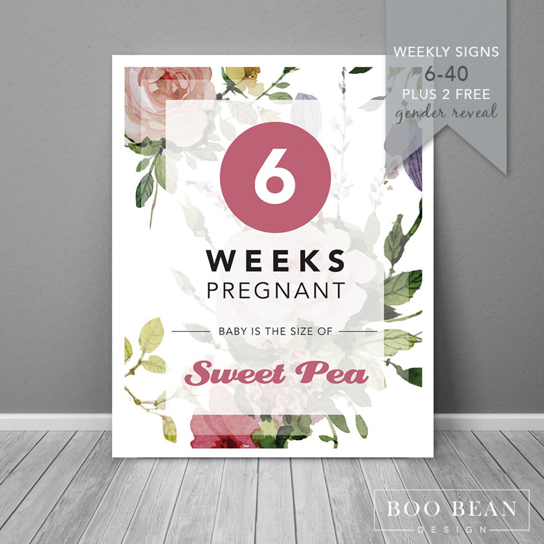 Pregnancy Week by Week | Instant Download | Printable Card | Pregnancy ...