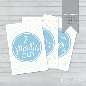 Baby blue Nature Baby Milestone Card Boy | Instant Download | Printable Card | Milestone Photo Prop | Baby Age Sign | Month Prop | Month Sig