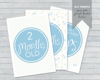 Baby blue Nature Baby Milestone Card Boy | Instant Download | Printable Card | Milestone Photo Prop | Baby Age Sign | Month Prop | Month Sig