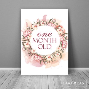 Carte d'étape vintage romantique pour bébé | Téléchargement instantané | Carte imprimable | Accessoire photo jalon | Signe de l'âge du bébé | Accessoire du mois | Signe du mois