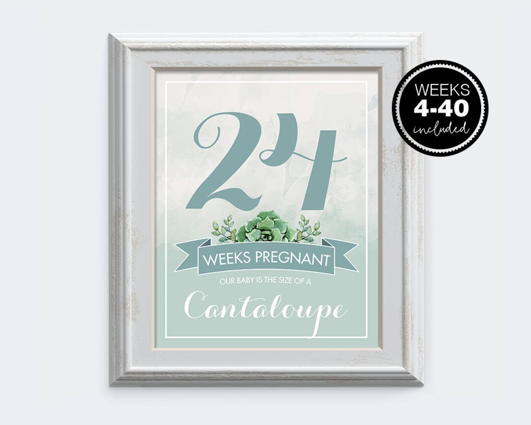 Pregnancy Week by Week Instant Download Printable Card - Etsy