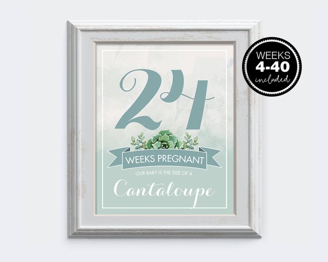 Pregnancy Week by Week Instant Download Printable Card - Etsy