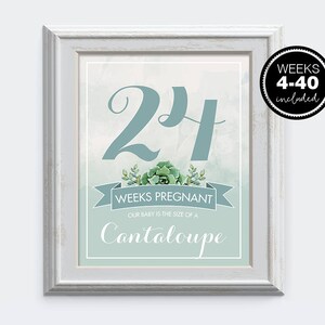 Pregnancy Week by Week Instant Download Printable Card - Etsy