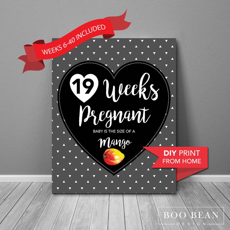 Pregnancy Week by Week Instant Download Printable Card - Etsy