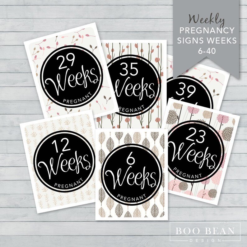 Nature Pregnancy Week by Week Instant Download Printable Card Pregnancy Photo Prop Weekly Sign Pregnancy Countdown Photo Prop image 2