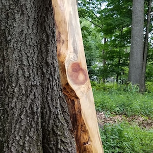 Live Edge Rustic Look Solid Wood Plank Board 2.25 inches Thick