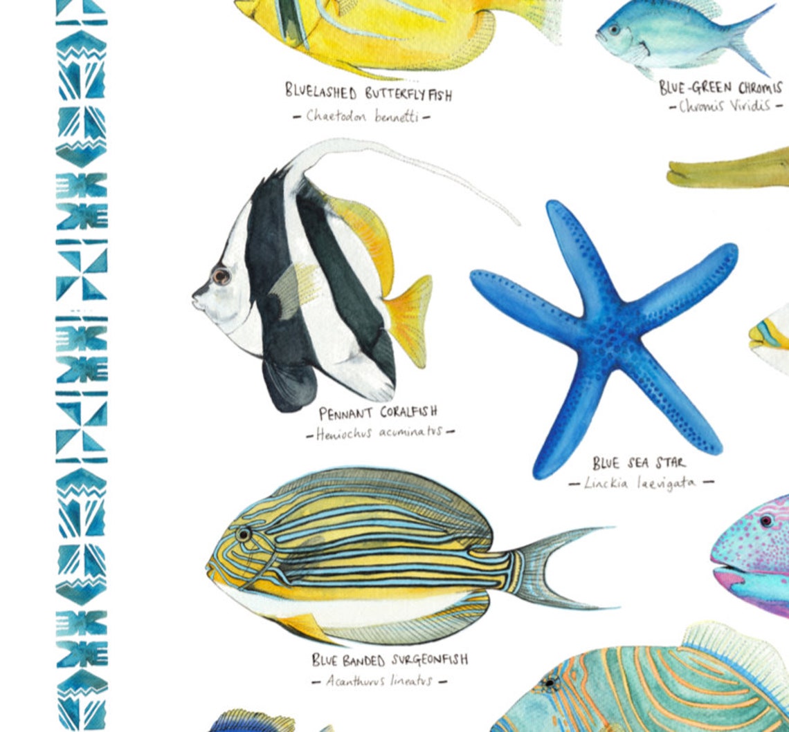 A3/A2 Fijian Coral Reef Fish Guide Etsy