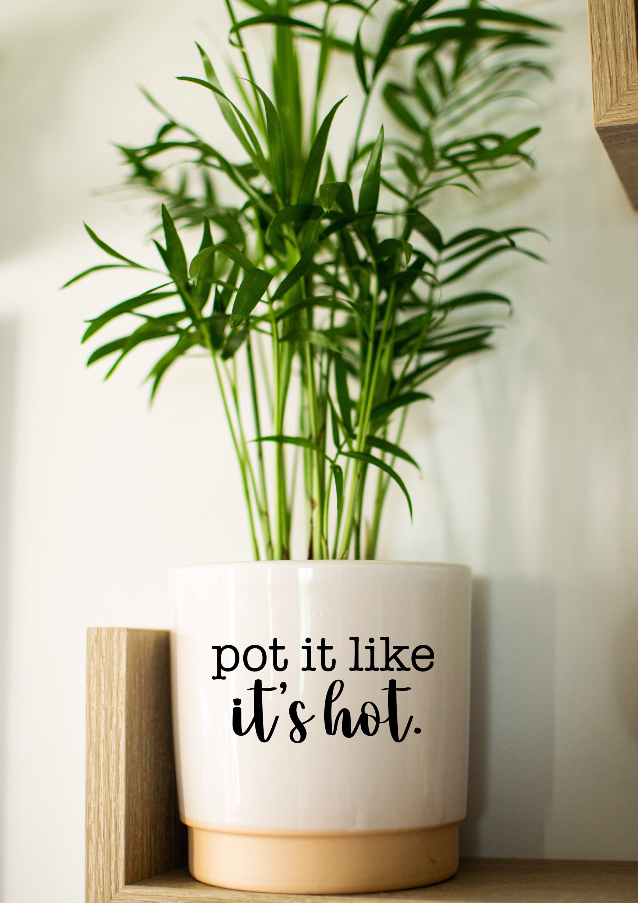 Plant Pot Stickers Labels Plants Decal Vinyl Sticker Etsy.de