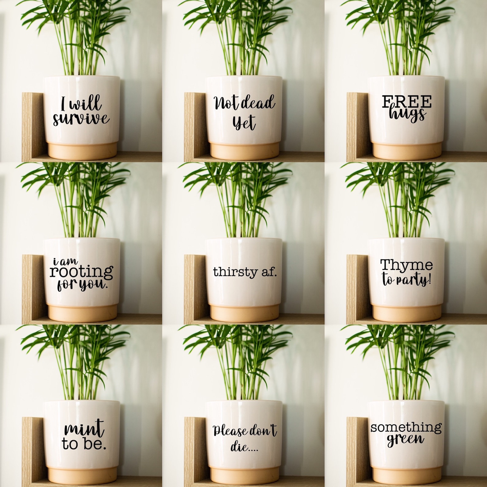 Plant Pot Stickers Labels Plants Decal Vinyl Sticker Etsy.de