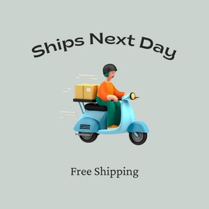 May include: A blue scooter with a brown box on the back, driven by a person wearing a blue helmet and orange shirt. The text "Ships Next Day" and "Free Shipping" is displayed above and below the scooter.