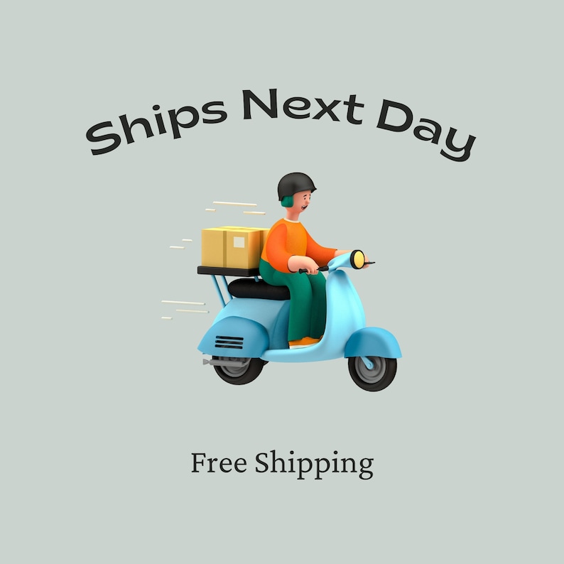May include: A blue scooter with a brown box on the back, driven by a person wearing a blue helmet and orange shirt. The text "Ships Next Day" and "Free Shipping" is displayed above and below the scooter.