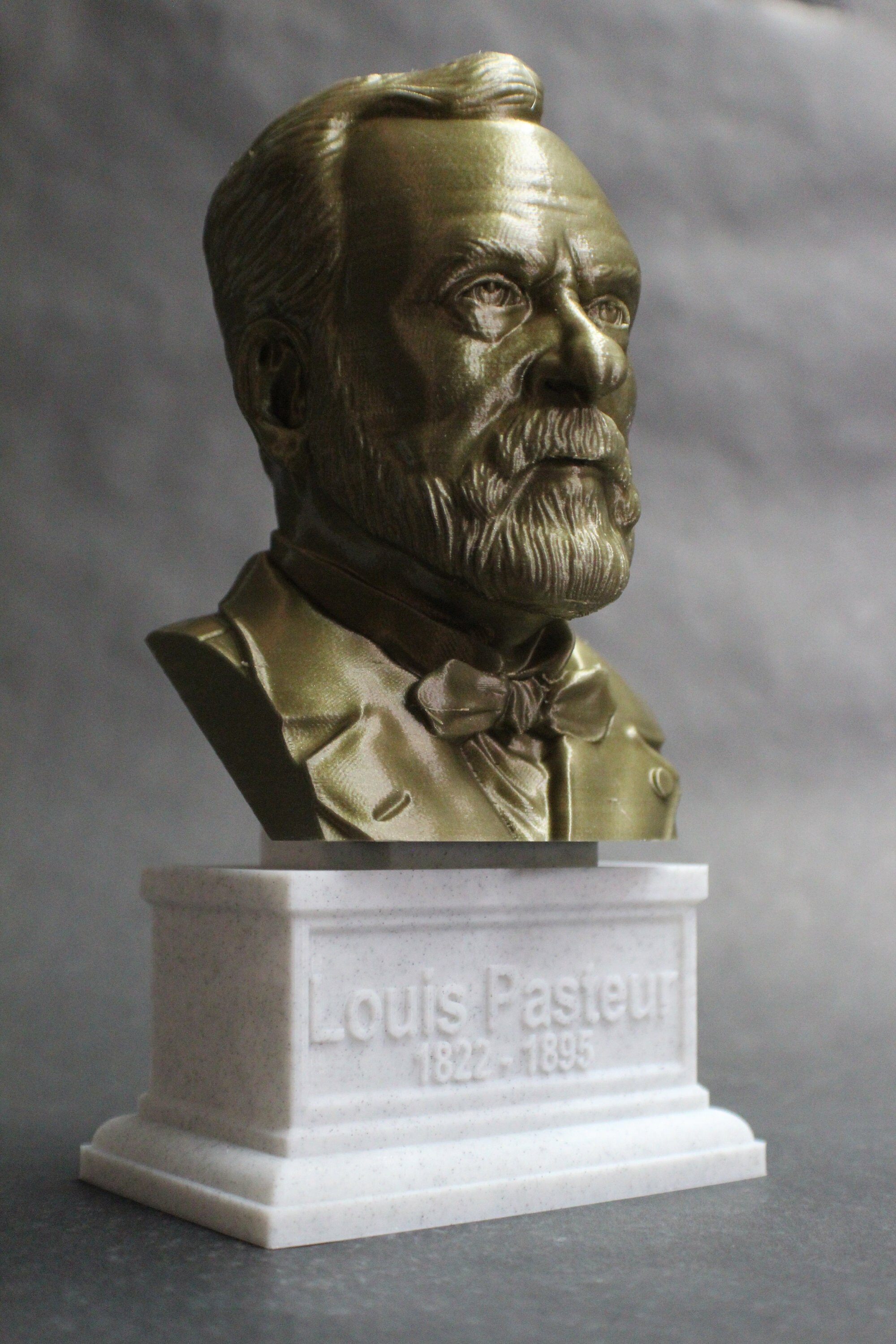 Louis Pasteur French Biologist Microbiologist and Chemist 7 Etsy