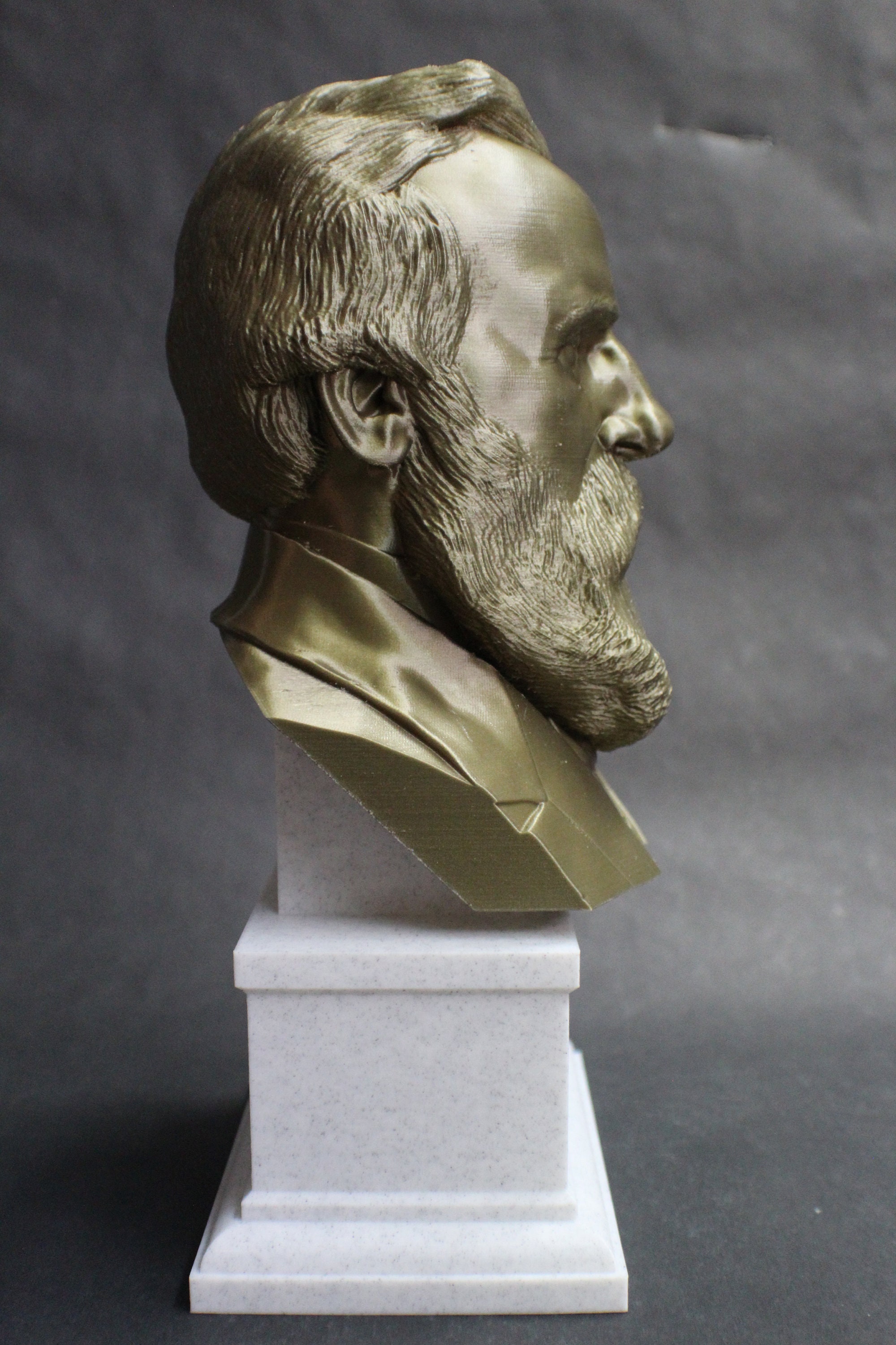 Rutherford B. Hayes USA President 19 12 inch 2 color 3D | Etsy
