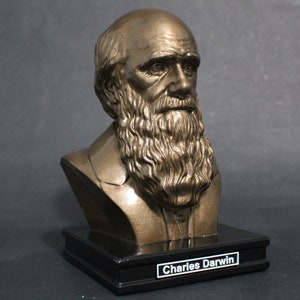 Charles Darwin 8 inch Premium Bust Solid Hand Finished Original Dated Sculpture