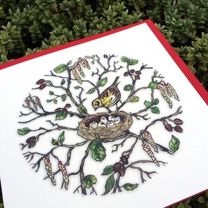 Carte Oiseau dans son nid. Carte de fête des mères. Illustration d'oiseaux britanniques. Carte de maman. Carte pour maman. Carte Oiseau. Carte pour jardinier. Carte pour maman
