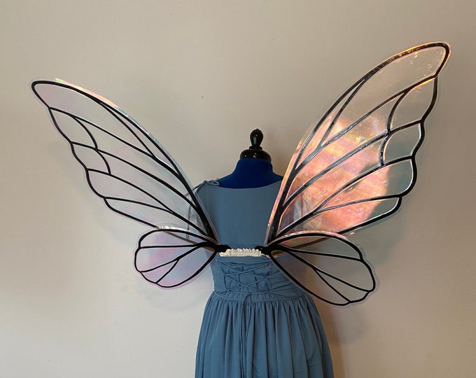 Extra Large  Black Iridescent Fairy Wing