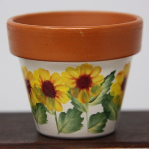 6&quot; Hand painted Flower Pots, succulent pot, terra cotta flower pot garden party