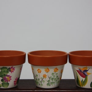 Mini Hand painted Flower Pots, succulent pot, flower pot party favors bird of paradise cactus