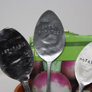 May include: Three silver spoons with the words "Asparagus", "Sweet Potatoes", and "Potatoes" engraved on them. The spoons are sitting on a green and white seed packet.