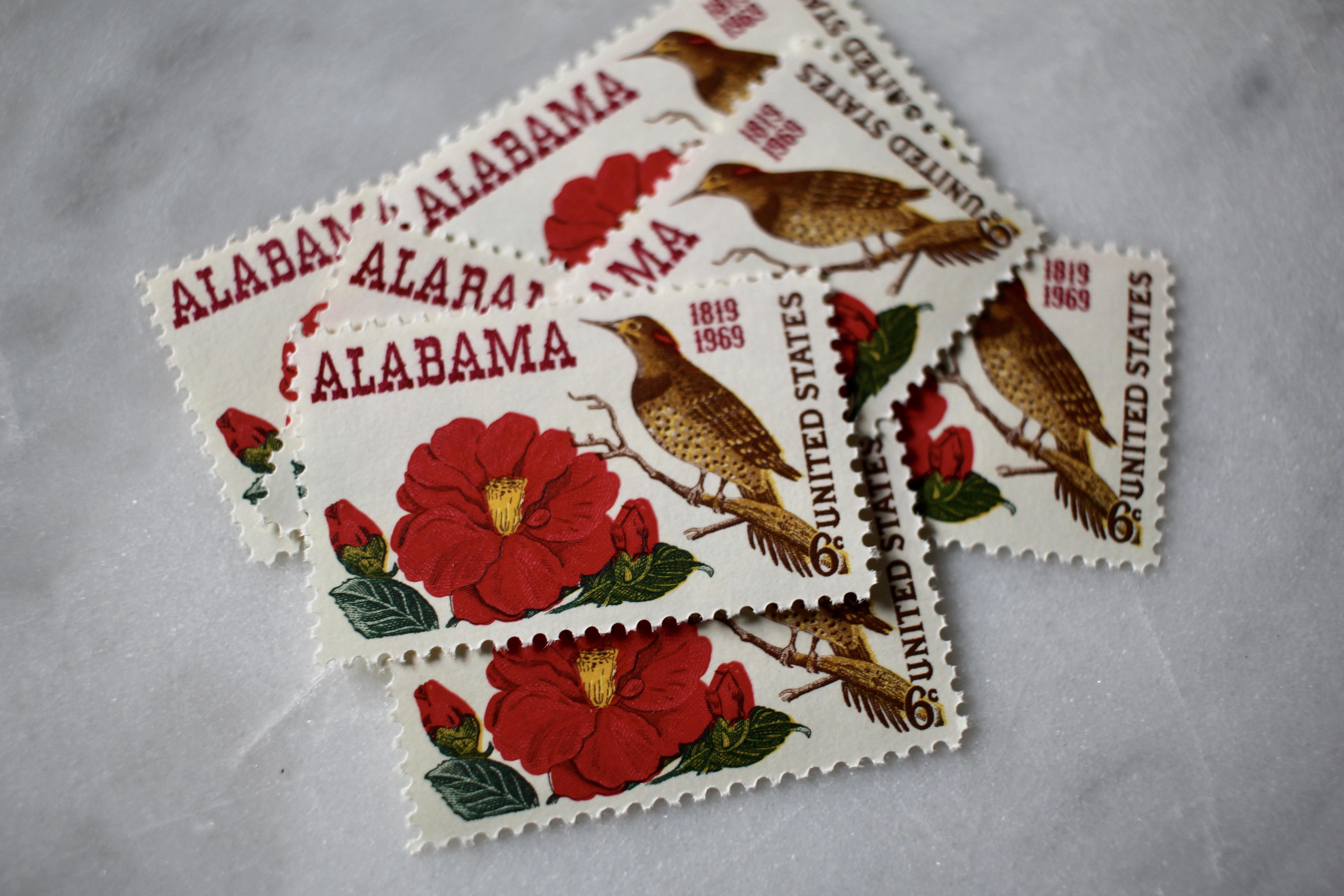 Alabama Department Of Food Stamps - 9q0myyo