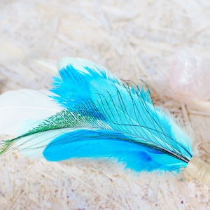 Peacock, Goose, Ostrich, Pelican, Pigeon feathers smudge fan_witchcraft_shaman_wiccan_pagan_altar tools