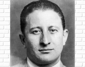 May include: Black and white portrait photograph of a man with short, dark hair. He is wearing a suit jacket and a collared shirt. The photo is from the Ferris Trading Company.