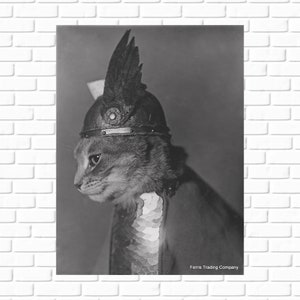 Funny Cat Photo Print: Brunnhilde Viking Helmet, Vintage Pet Portrait