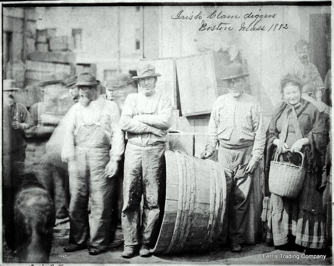 Irish Clam Diggers 1882 Boston, MA Photo Boston Massachusetts Seafood Clams Clam Digging