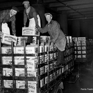 May include: Three men are loading a truck with crates of Anheuser-Busch beer. The crates are stacked high on the truck bed. The men are wearing work clothes and hats. The truck is parked in a warehouse. The text on the crates reads 