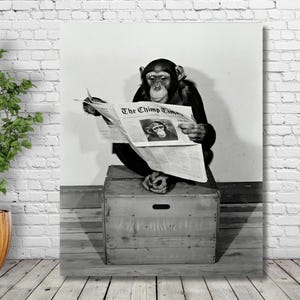 Funny Animal Wall Art Chimp Reading Paper Photo Cute Retro Decor Print For Monkey Lovers Bathroom Bar Or Quirky Home Office Walls