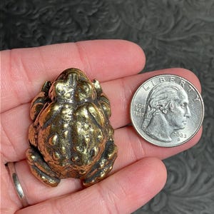 May include: A small, detailed brass frog figurine with a textured surface. The frog is next to a U.S. quarter coin for size comparison. The coin is dated 2023.