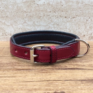 Dog collar, collar, leather collar for dogs, wide, softly padded, made to measure