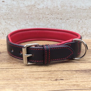 Dog collar, collar, leather collar for dogs, wide, softly padded, made to measure