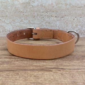 Collar, leather dog collar, leather collar for dogs, made to measure, natural/oiled