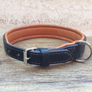 Collar, dog collar, leather collar for dogs, wide, softly padded, made to measure
