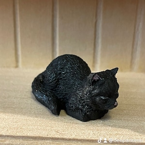 May include: A small black cat figurine, curled up in a sleeping position. The figurine is made of a smooth, dark material and has realistic details, including a pink nose and closed eyes.