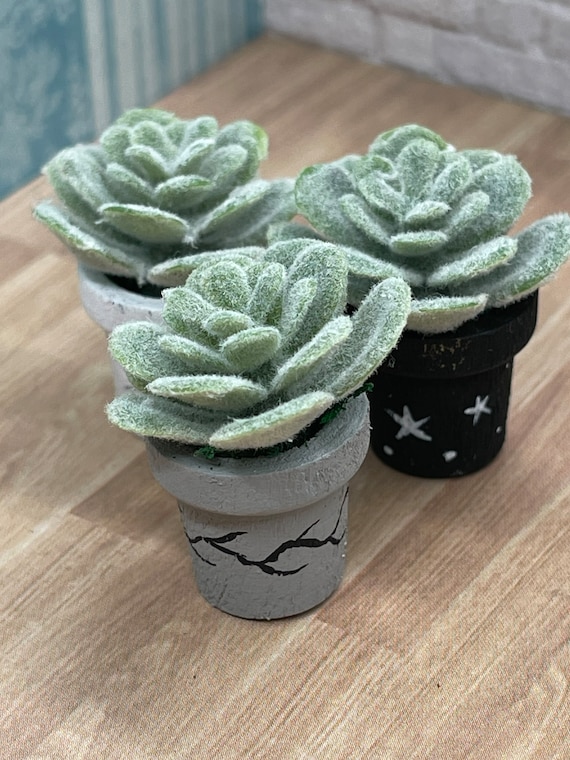 Miniature rustic fade celestial potted succulents 1:12 scale set of 3
