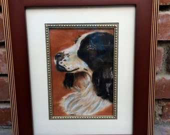 Framed Springer Spaniel drawing