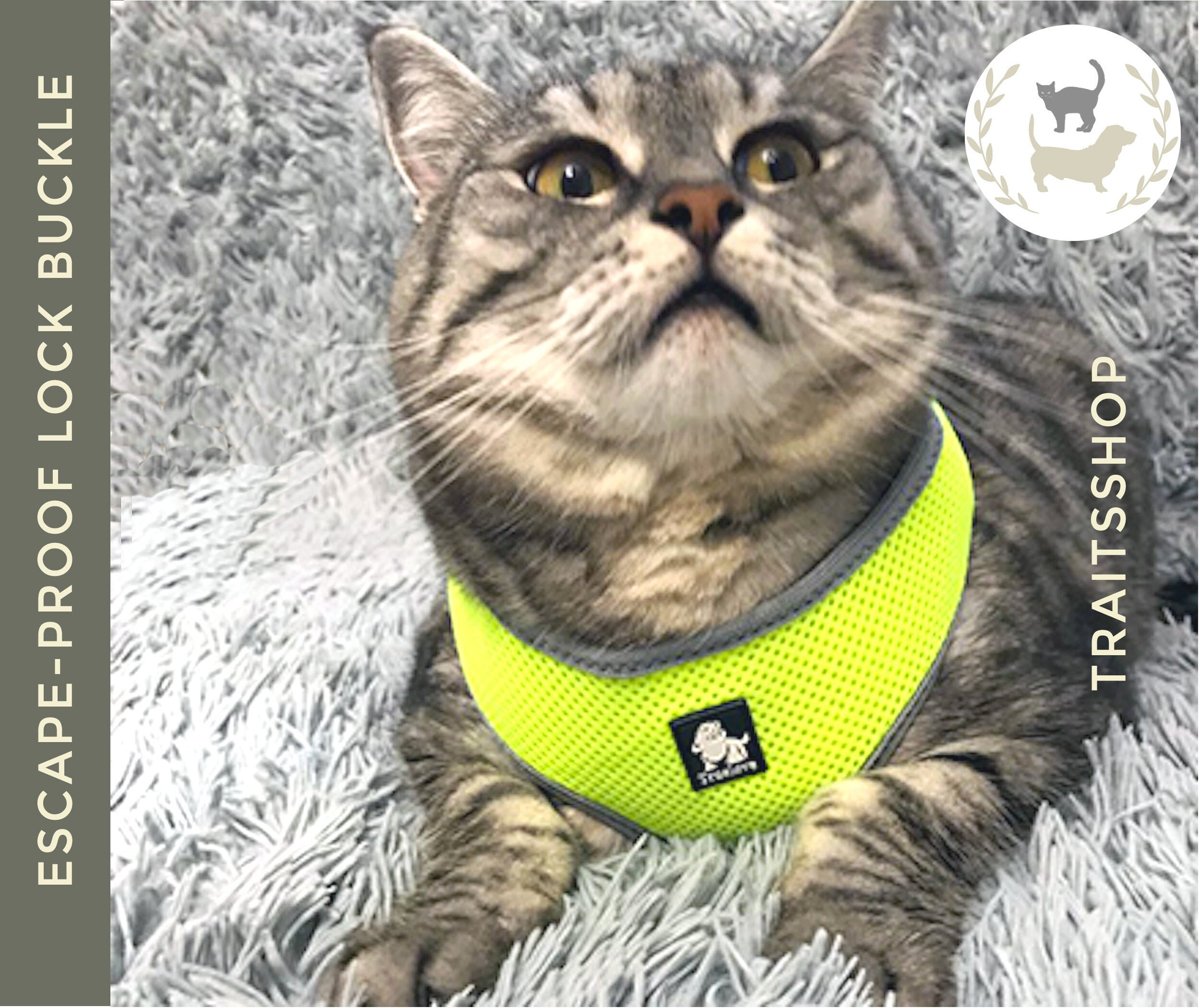 cat vest harness