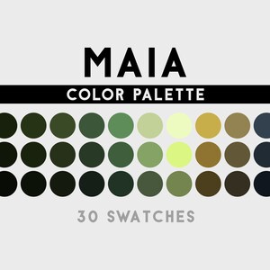 Maia Color Palette For Procreate, Adobe Photoshop, Adobe Illustrator, Affinity Designer, Affinity Photo