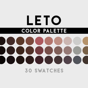 Leto Color Palette For Procreate, Adobe Photoshop, Adobe Illustrator, Affinity Designer, Affinity Photo