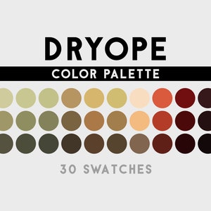 Dryope Color Palette For Procreate, Adobe Photoshop, Adobe Illustrator, Affinity Designer, Affinity Photo