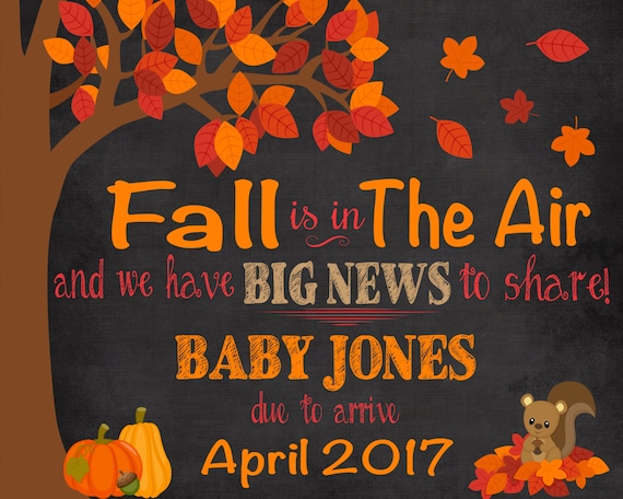 fall is in the air baby announcement pregnancy announcement sign fall baby announcement