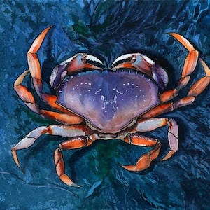 Dungeness Crab Watercolor – Custom 8x10&quot; Portrait, Handcrafted Marine Art, Coastal Home Decor