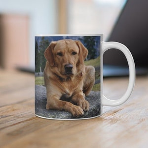 Custom Dog Mug - Dog Mom Coffee Mug - Custom Dog Gift - Dog Picture On Mug - Dog Lover Gift - My Dog Photo on mug