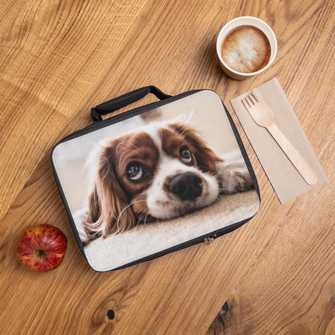 Custom Lunch Box - Personalized Lunch Box - Picture Lunch Box - Custom