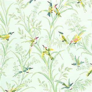 AUGUSTINE, Wallpaper, Thibaut, T4724, Wallpaper with Birds,