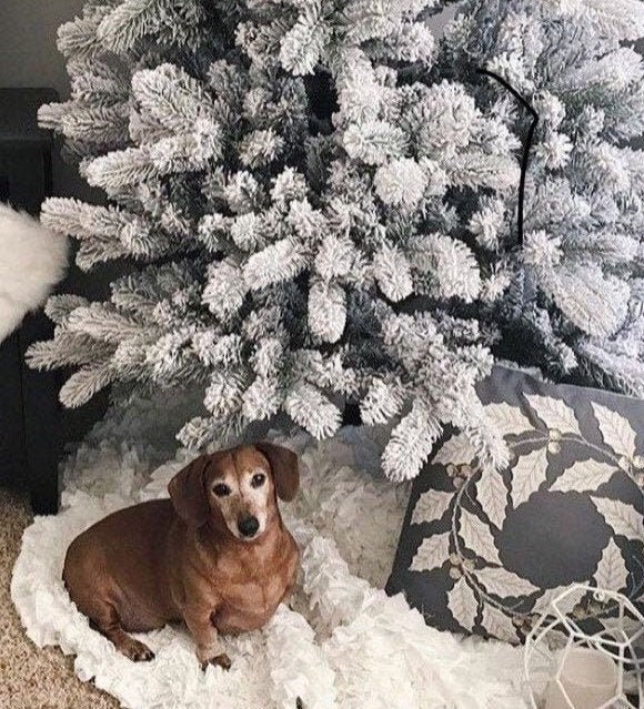 Belle Toute Ébouriffée Arbre de Noël Jupe Noël Décor Élégant Vintage Minable Jupe Chic