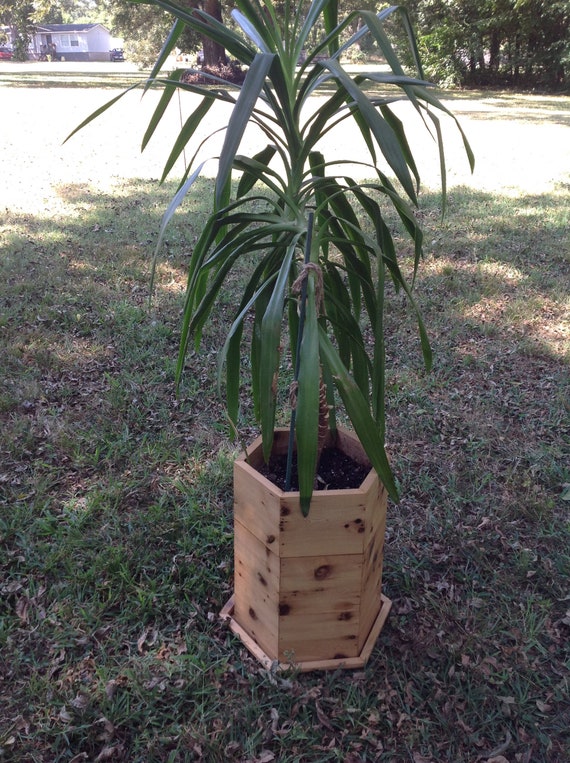 Hexagonal cedar patio planter, outdoor planter, drain holes